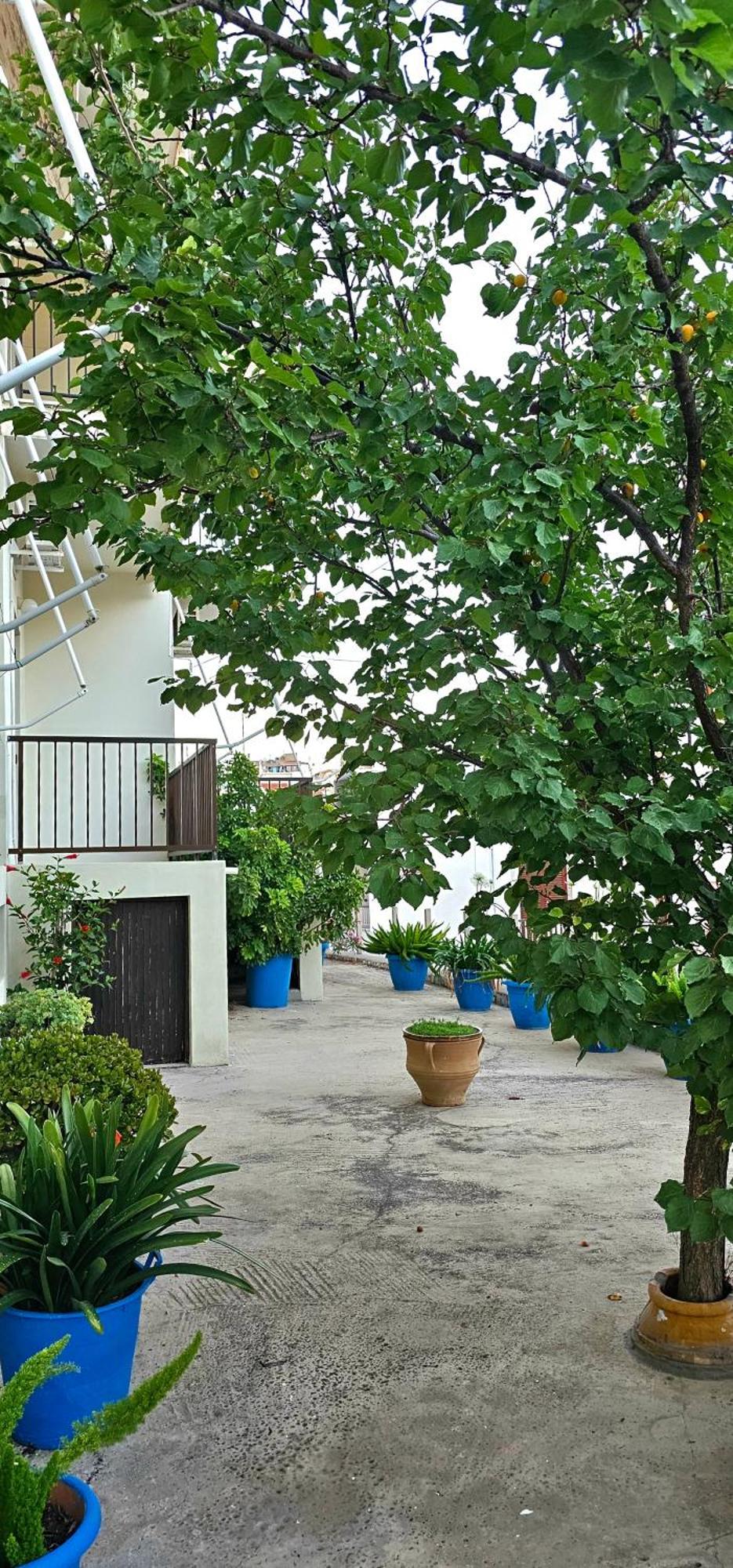 Pension Dimitra Votsi  Bagian luar foto